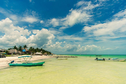 Riviera Maya: Holbox, Isla Pasión, and Yalahau Cenote Tour