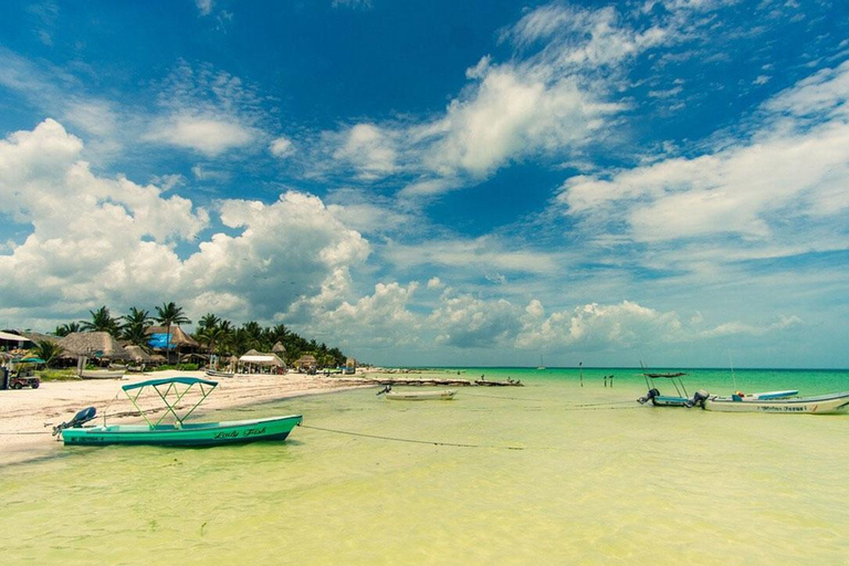 Riviera Maya: Holbox, Isla Pasión, and Yalahau Cenote Tour