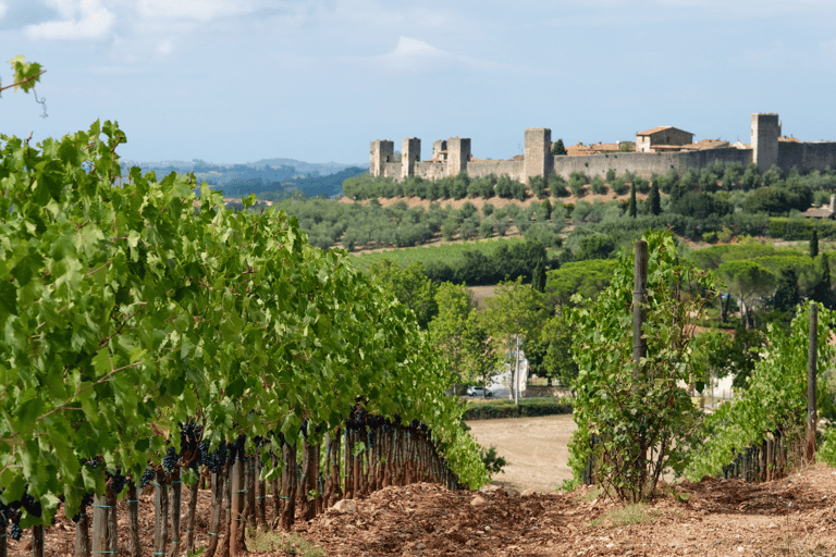 Florence: Tuscan Day trip Siena San Gimignano, Pisa,