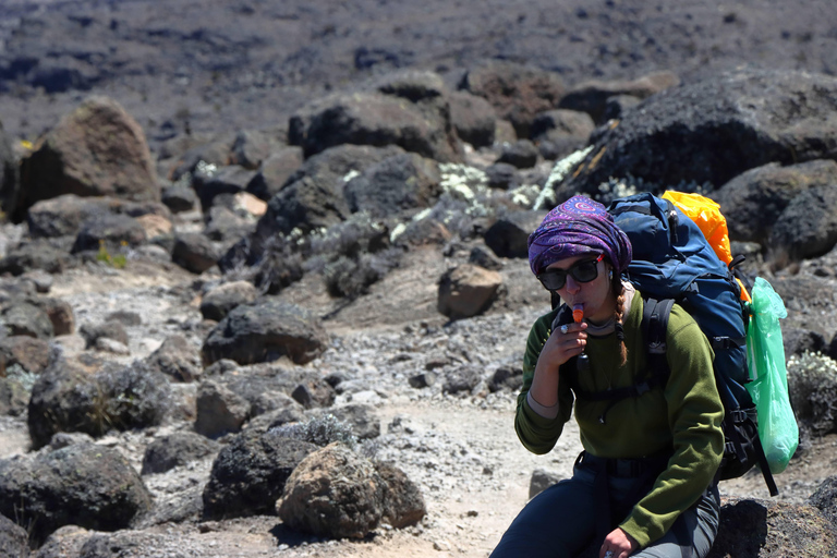 Kilimanjaro: 6-Day Machame Route Trekking Adventure