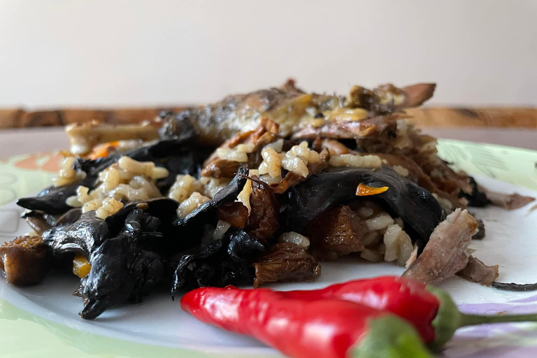 Sofia: Culinary Adventure To The Fungi And Botanical Kingdom