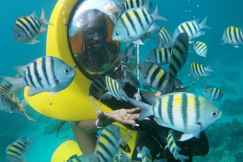 Aventura de buceo Scubadoo Punta Cana