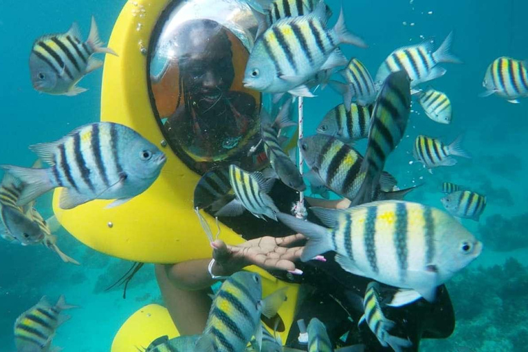 Aventura de buceo Scubadoo Punta Cana