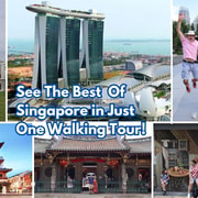 Chinatown, Civic District, Marina Bay 4h Walking Tour