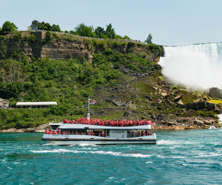 Toronto: Niagara Falls-dagstur med valgfri cruise og lunsj