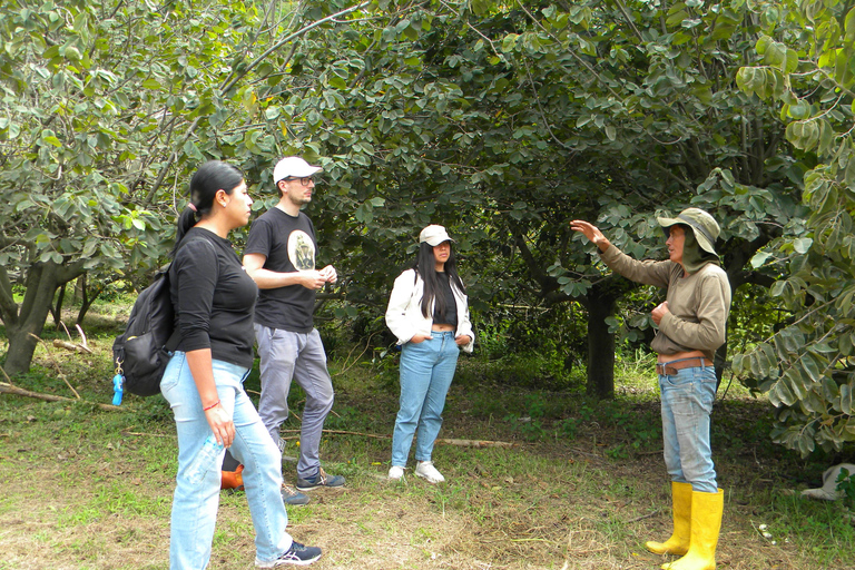 Quito: Nayón Village Tour with Farm Visit