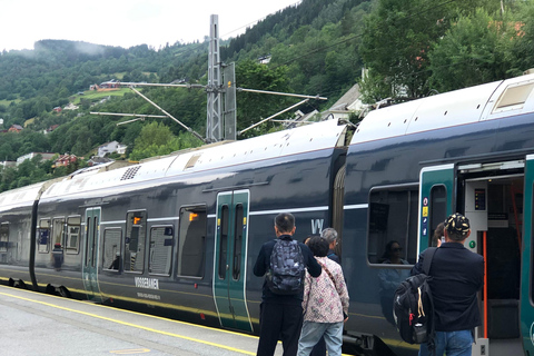 Da Bergen: escursione di un giorno con ferrovia di Flam e crociera nei fiordi