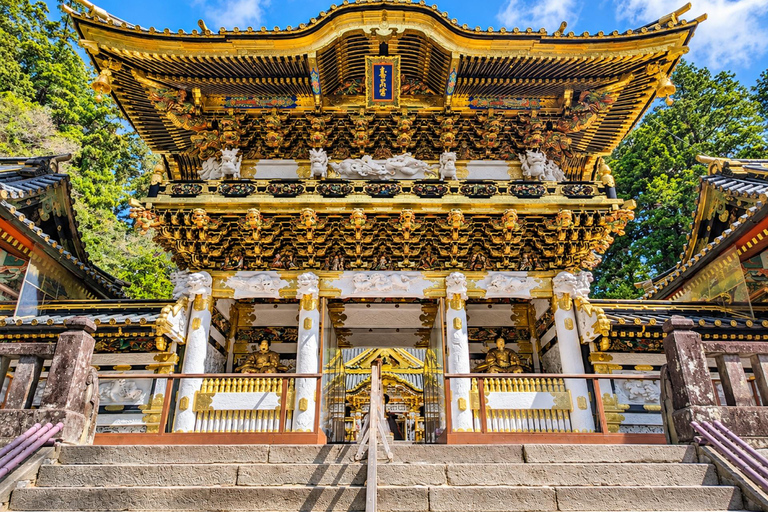 Nikko: Cedar & Falls Private Tour with Pickup & Drop-off EN/CN Guide – Tokyo Pickup & Drop-off