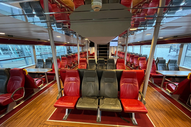 Northern Lights cruise in Tromsø