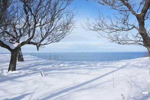 Small Group：A 4-day exploration of Eastern Hokkaido February