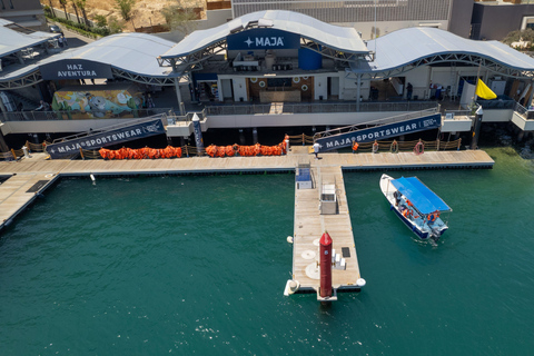 Los Cabos: Whale Watching and Safari