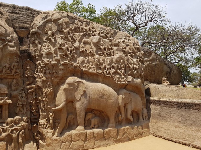 Visit From Chennai Private tour to Vandalur Kovalam Mahabalipuram in Mahabalipuram, India