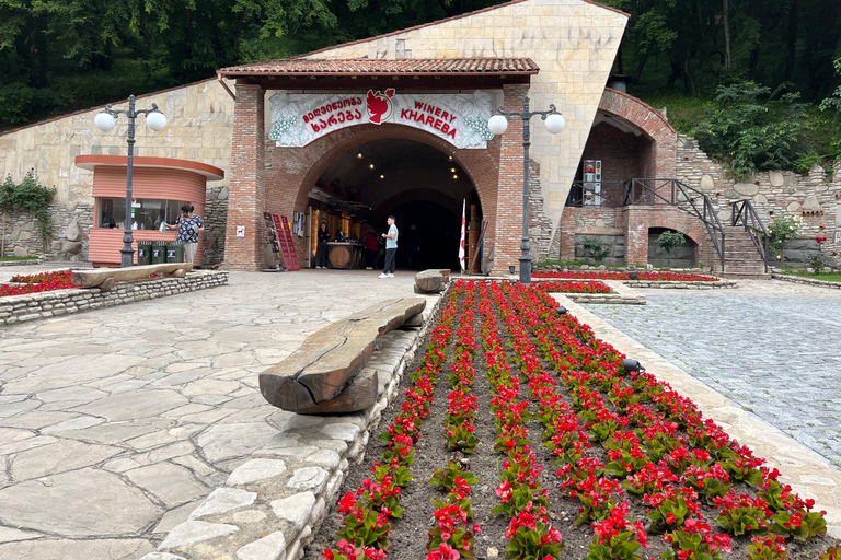 Authentic Kakheti Wine Tour: Tasting & Sighnaghi Wine Tunnel