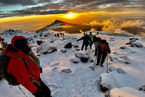 6 jours d&#039;ascension du Kilimandjaro par la route de Marangu