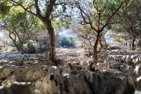 Chania: Traditionella byar, lokala producenter och hantverkare