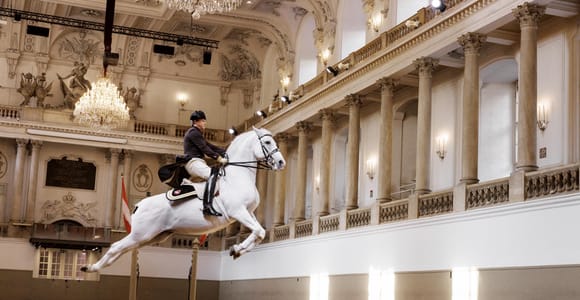 Performance Of The Lipizzans At Spanish Riding School