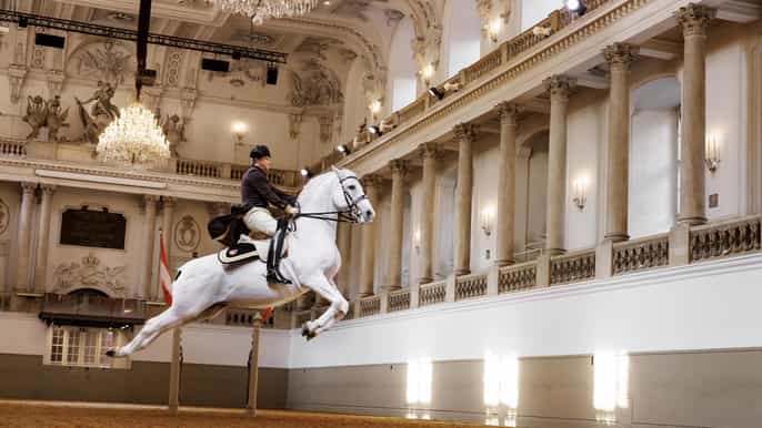 Performance Of The Lipizzans At Spanish Riding School