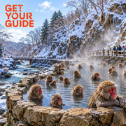 From Tokyo: Nagano Snow Monkey & Zenko-ji Temple With Guide