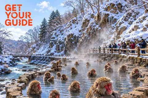From Tokyo: Nagano Snow Monkey & Zenko-ji Temple With Guide - Image 3