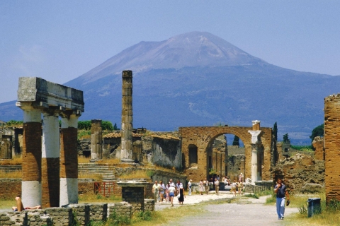 Desde Nápoles: Excursión Privada a Pompeya, Sorrento y AmalfiDe 7 a 8 personas