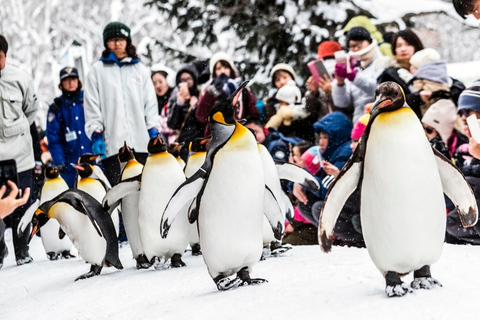 Hokkaido: Zoo Asahiyama, Biei i wycieczka po tarasie Ningle7:45 Spotkanie na parkingu dla autobusów przy północnym wyjściu ze stacji JR Sapporo