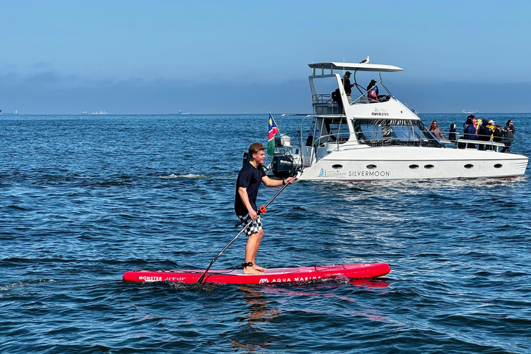 Walvis Bay: Seal Kayaking Adventure with Brunch