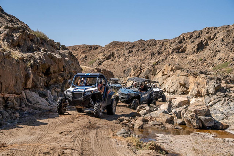 Oman Discovery – Full Day Buggy Adventure - From Salalah