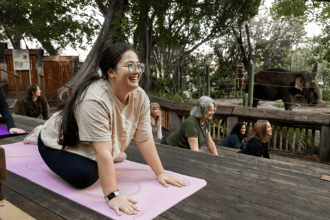 Zen in de dierentuin