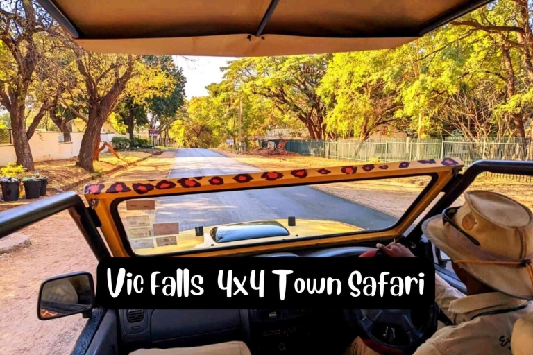Victoria Falls: 4x4 Victoria Falls Town Safari 45 min 4x4 Victoria Falls Orientation Tour