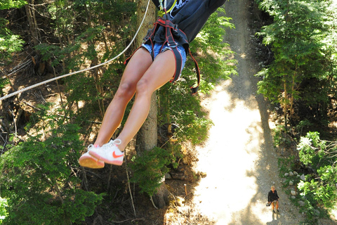 Canopy Half-Day Tour in Bariloche Canopy Half-Day Tour in Bariloche - Morning Departure