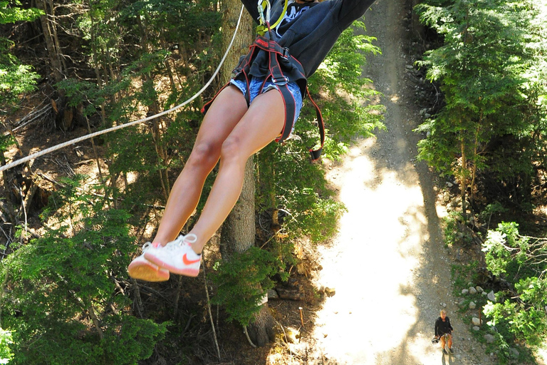 Canopy Half-Day Tour in Bariloche Canopy Half-Day Tour in Bariloche - Morning Departure