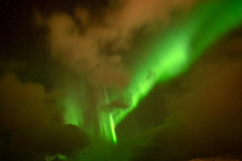 Tromsø: Northern Lights Tour with Local Guide and Photos