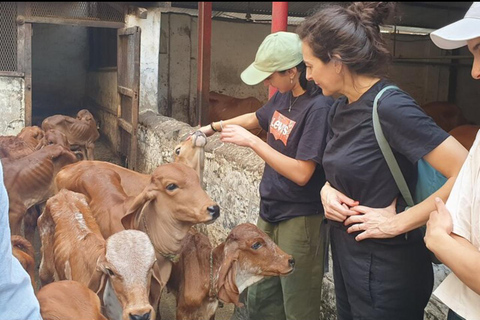 Visite guidée à vélo des sites incontournables et des trésors cachés de MumbaiVisite guidée en groupe à vélo des sites incontournables de Mumbai