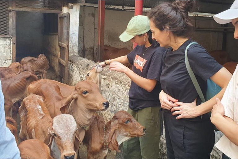 Visite guidée à vélo des sites incontournables et des trésors cachés de MumbaiVisite guidée en groupe à vélo des sites incontournables de Mumbai