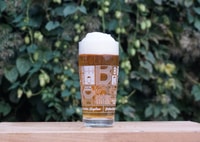 Berlín, gira de cervecería con cata de cerveza - Housity