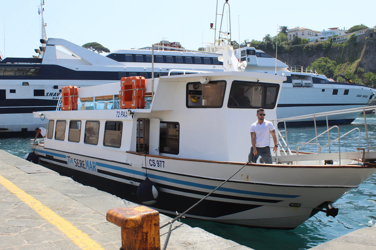 Capri: Blue Cruise with Guide from Sorrento, C.Stabia,Seiano From Seiano: Capri Blue Cruise