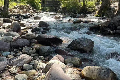 From Seattle: 3-Day Glacier National Park Tour with Guide