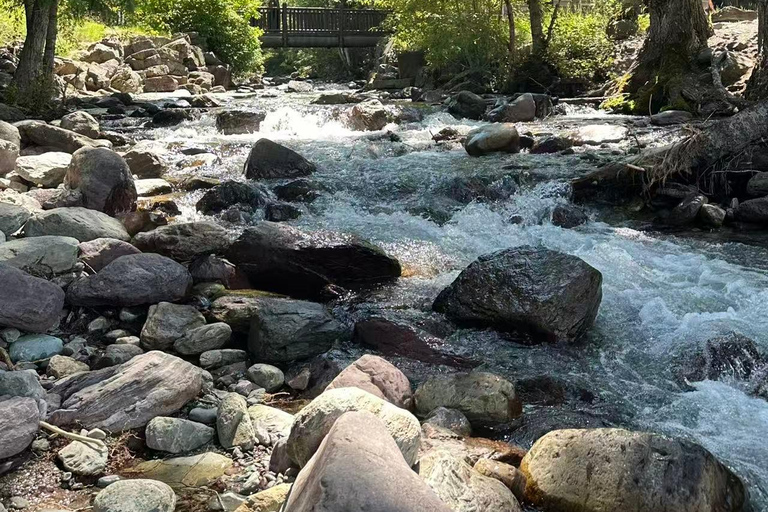 From Seattle: 3-Day Glacier National Park Tour with Guide
