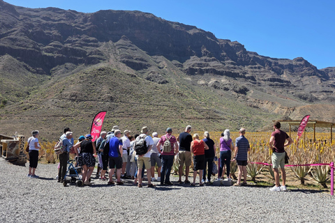 Gran Canaria: Eco Adventure 4x4 Tour with Local Guide