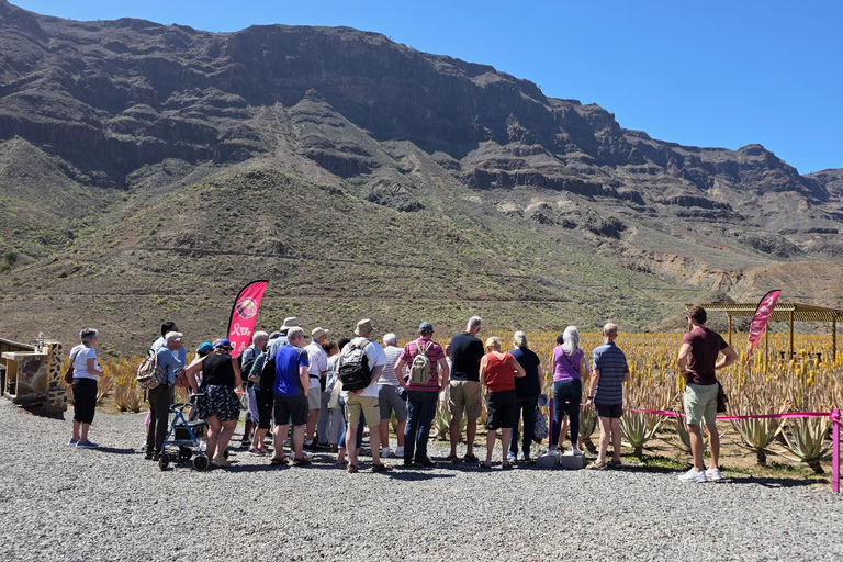 Gran Canaria: Eco Adventure 4x4 Tour with Local Guide