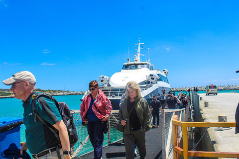 Cape Town:Robben Island Guided Tour, Skip the Ticketing LineKaapstad: Robbeneiland rondleiding, voorrangsticket