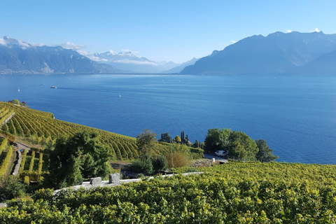 Genève: Lavaux, Chexbres en Valais wijnproeverijGenève: Lavaux, Chexbres en wijnproeverij in Wallis