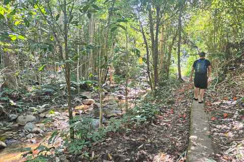 Największa tyrolka/Jaskinia i wodospad Biausevu Wycieczka odkrywczatylko hotele w rejonie wybrzeża koralowego (odbiór i transport powrotny)