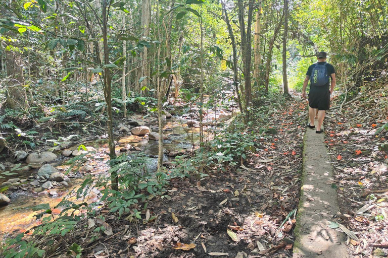 Największa tyrolka/Jaskinia i wodospad Biausevu Wycieczka odkrywczatylko hotele w rejonie wybrzeża koralowego (odbiór i transport powrotny)