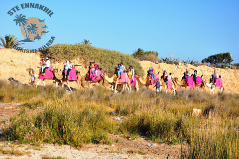 Djerba: Giro in cammello verso la Laguna Blu al tramonto