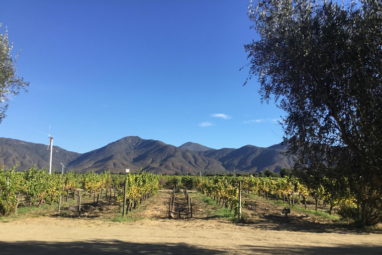 Vineyard, Valparaiso, Horseback Riding, Sea L &amp; BBQ Day Trip