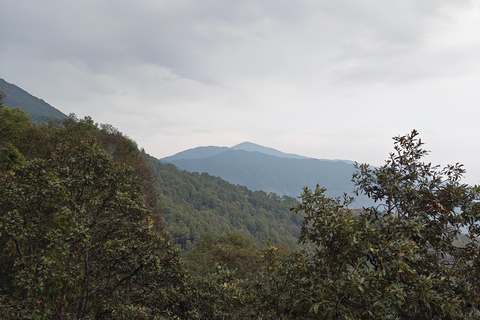 Kathmandu: Shivapuri National Park Guided Day Hike