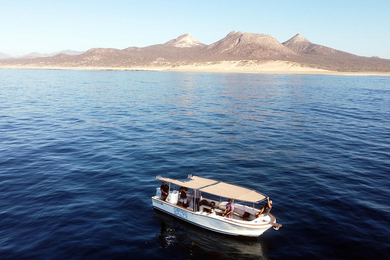 San Jose del Cabo Snorkeling Tour