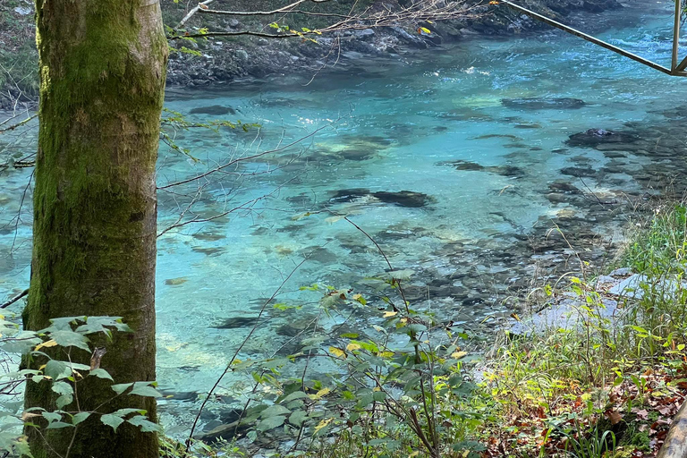 Från Ljubljana: Tur i Triglav nationalpark - PRIVAT