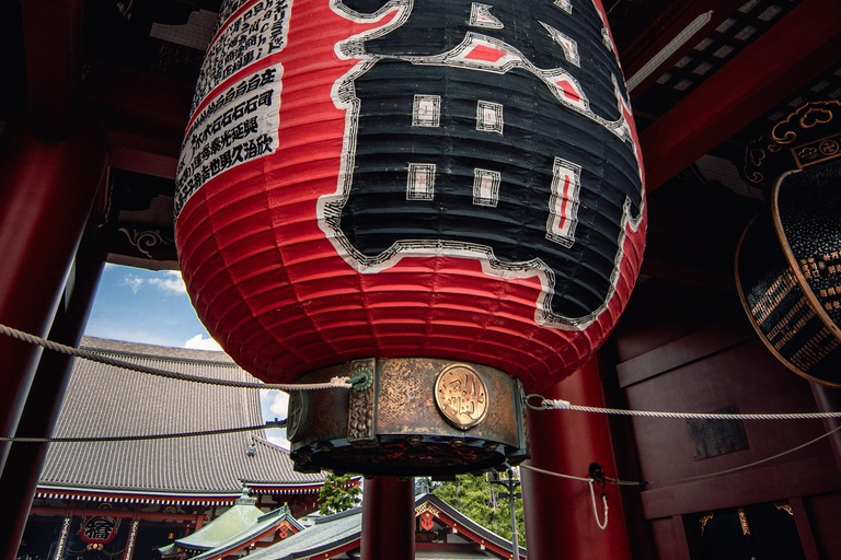 Tokyo Private & Customizable Tour with English Driver Guide